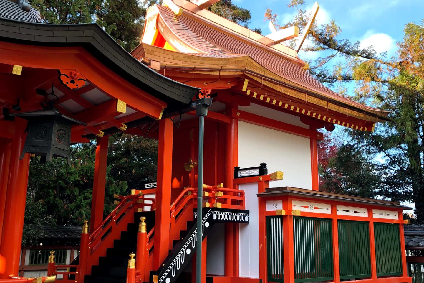 木の個性(癖)を見抜く