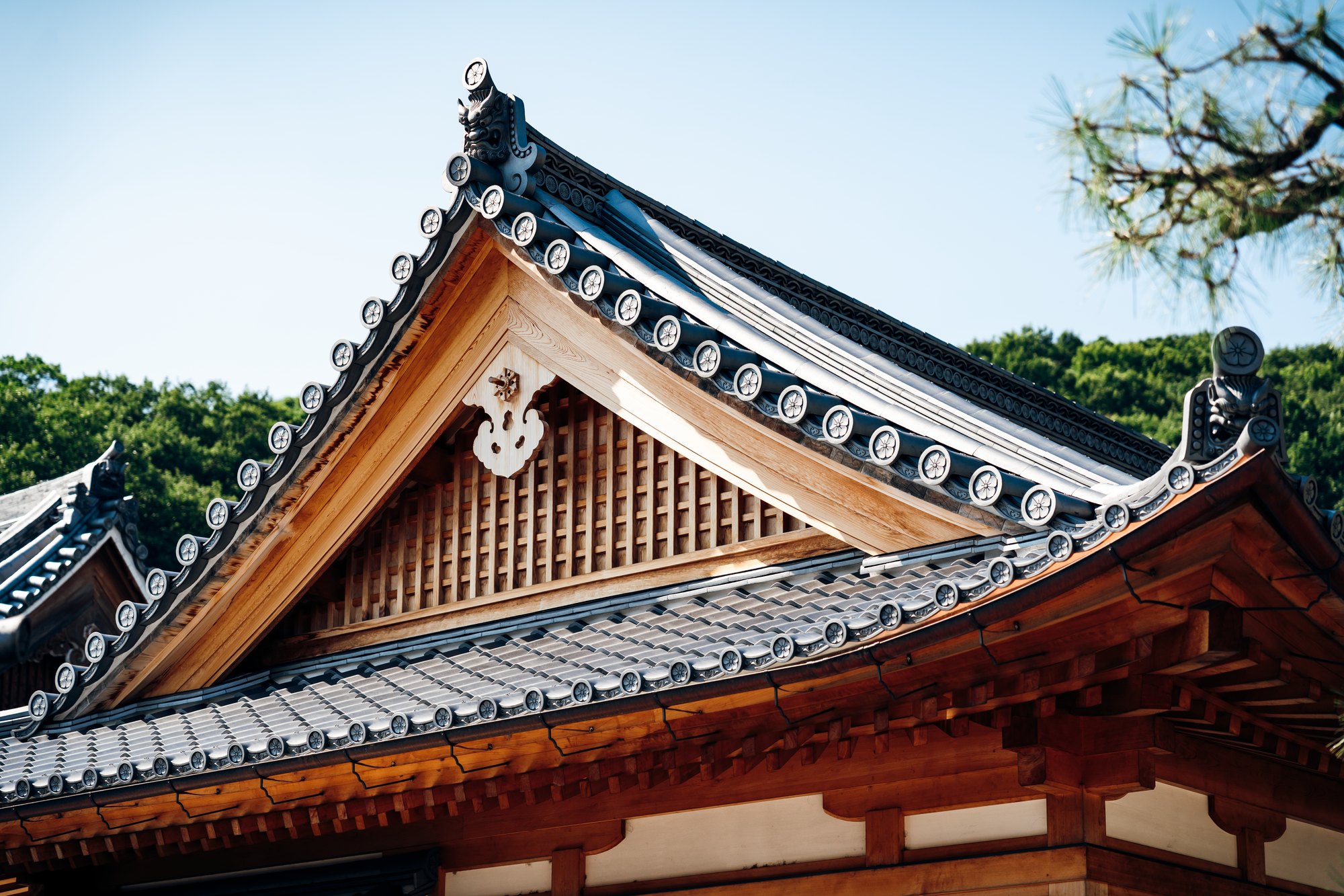 天澤院 はなれ